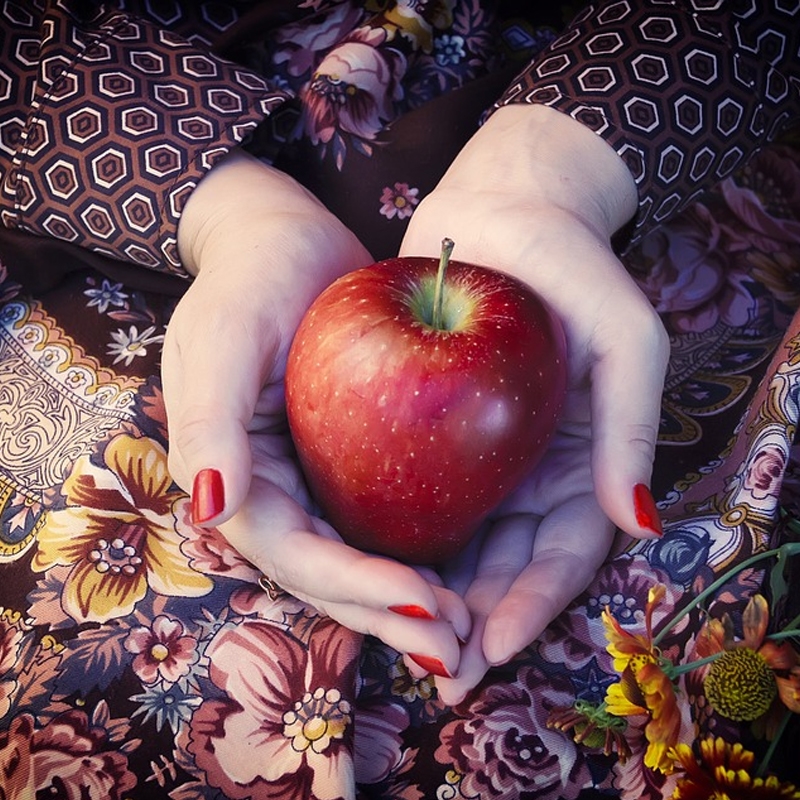 Red Fuji Apple Tree