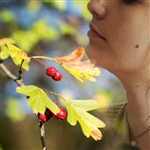 SEH Mayhaw Tree